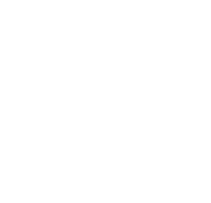 LOGO_WEB_WHITE